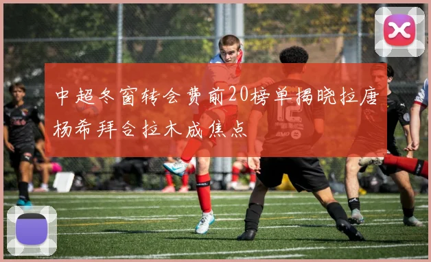 中超冬窗转会费前20榜单揭晓拉唐杨希拜合拉木成焦点