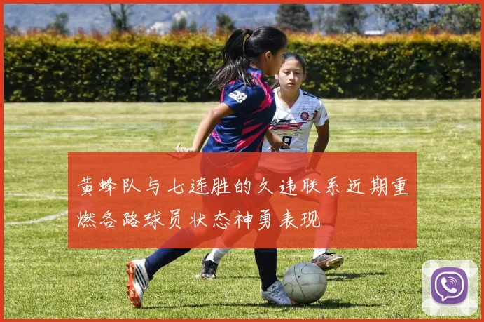 黄蜂队与七连胜的久违联系近期重燃各路球员状态神勇表现