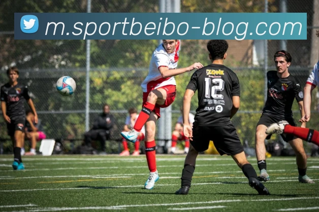 App Interface Preview