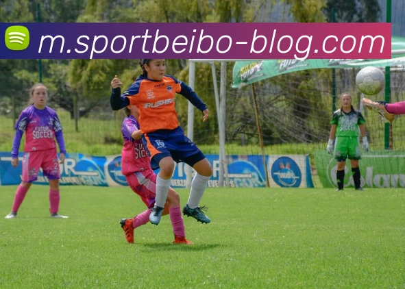 贝博体育APP 封面图